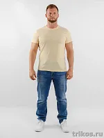 Футболка мужская короткий рукав 