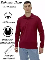 Рубашка поло мужская длин.рукав 