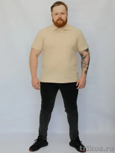 Рубашка поло кор.рукав 