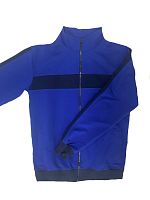 Олимпийка со вставками,карман листочка 