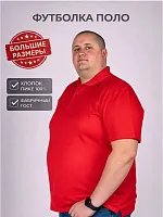Рубашка поло мужская 
