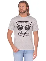 Футболка мужская Х/Б короткий рукав с шелкографией 