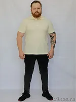 Рубашка поло мужская 