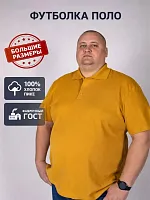 Рубашка поло мужская 