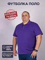 Рубашка поло мужская 