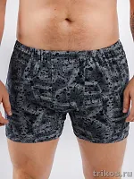 Трусы мужские семейные набивка