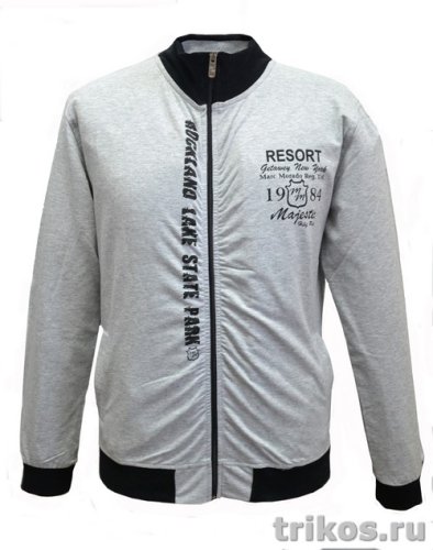 Толстовка мужская без капюшона на молнии (Resort)