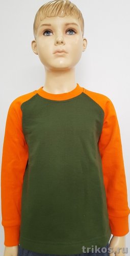 Толстовка детская 2-х нитка комбинированная