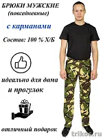 Брюки мужские КМФ 