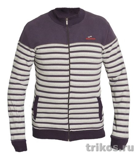 Толстовка мужская полоска без капюшона на молнии 