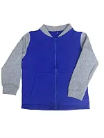 Толстовка детская 2-х нитка на молнии,карман кенгуру, рукав на манжете. Толстовка детская 2-х нитка на молнии,карман кенгуру, рукав на манжете.