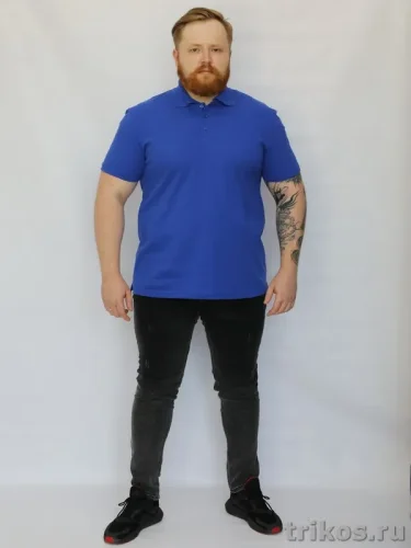 Рубашка поло мужская Рубашка поло мужская