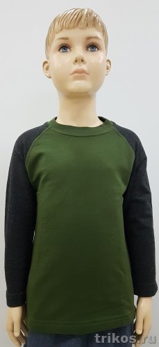 Толстовка детская 2-х нитка комбинированная  с удлиненной спинкой